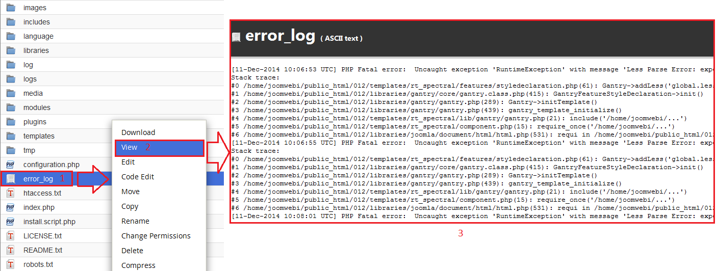 Log site errors in C Panel