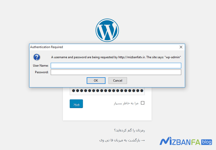 The password is located on the admin path of the WordPress site