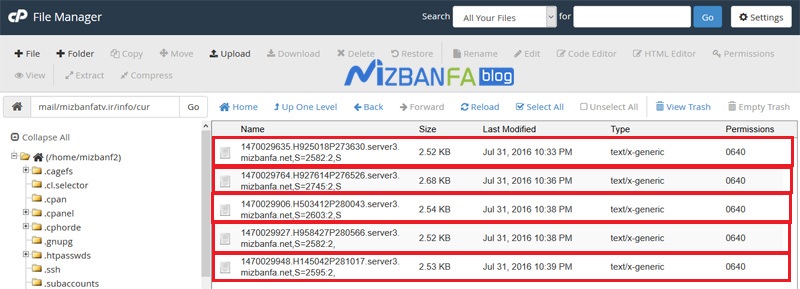 پاک کردن ایمیل ها از طریق فایل منیجر هاست cpanel