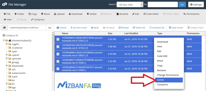 delete کردن ایمیل ها در سی پنل