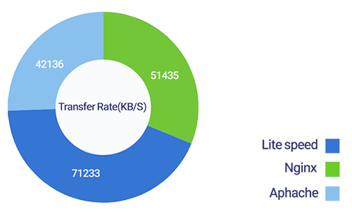 وب سرور لایت اسپید چیه