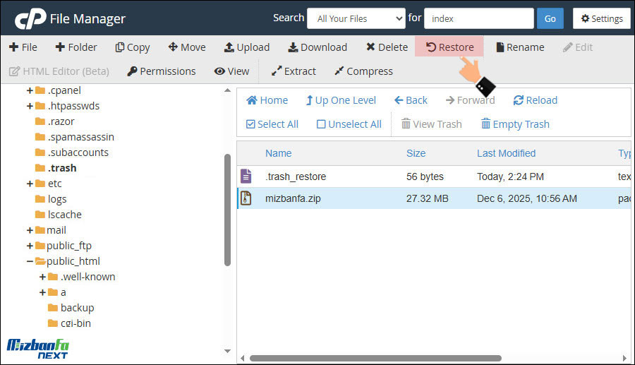 بازیابی فایل های حذف شده سی پنل با restore