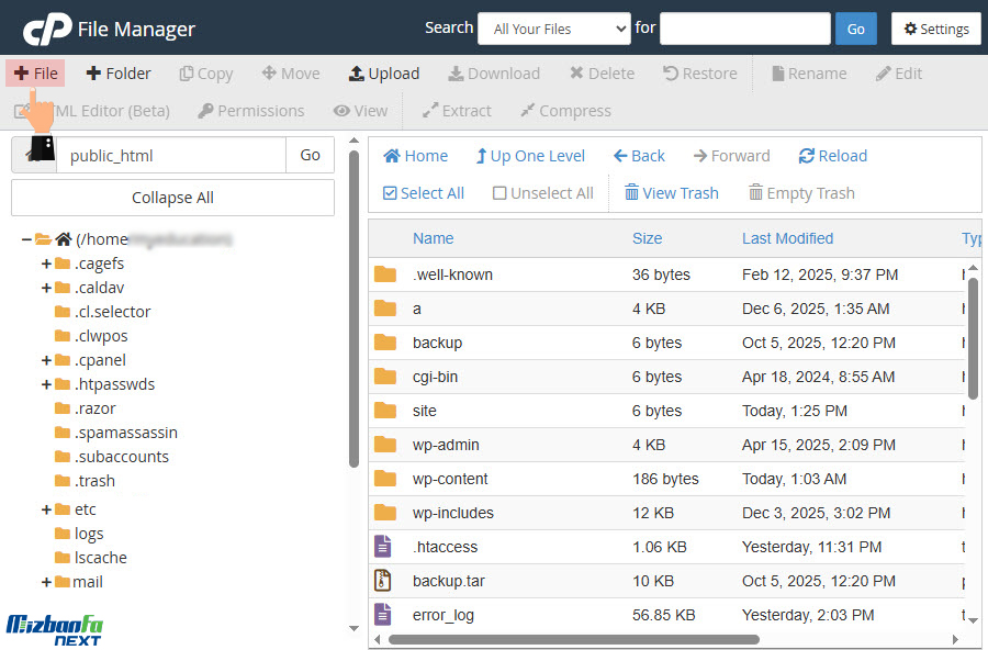 ایجاد فایل و فولدر جدید در سی پنل
