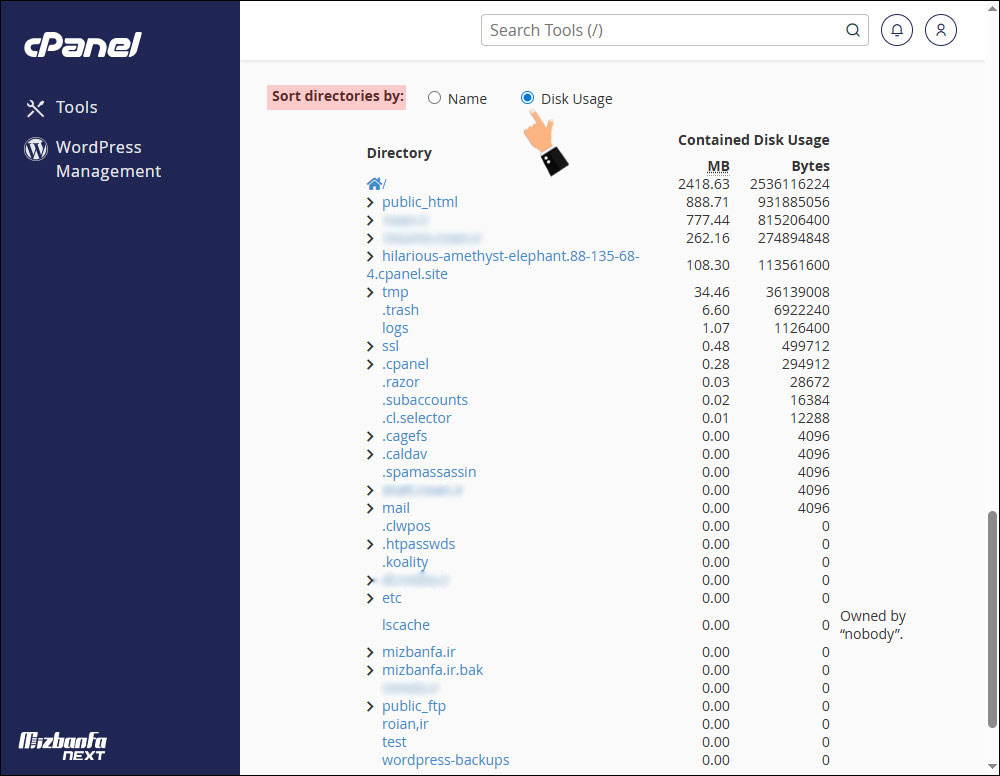 هاست با فضای دیسک بالا