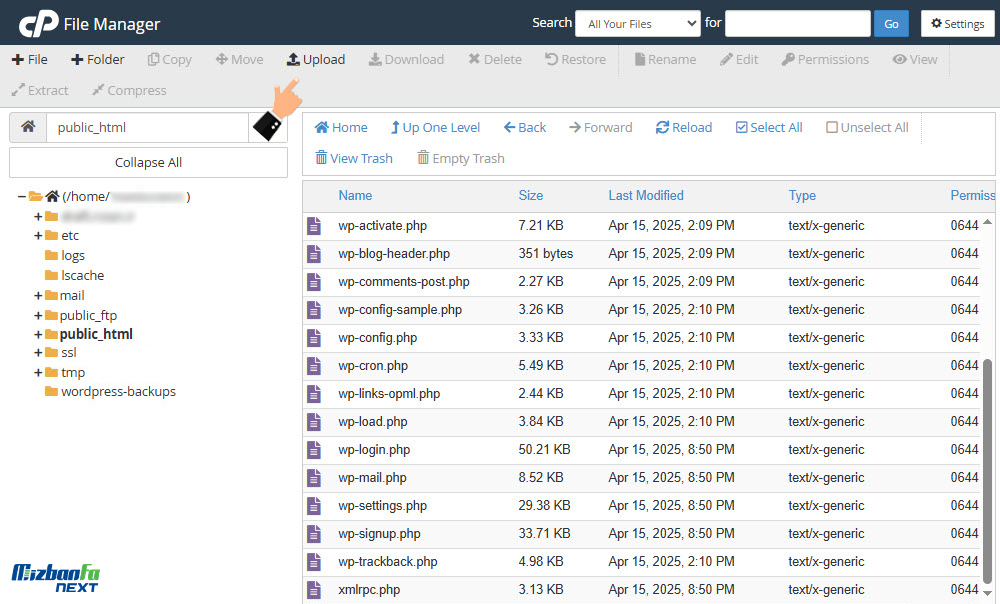 اقدامات مورد نیاز پس از خرید هاست و دامنه