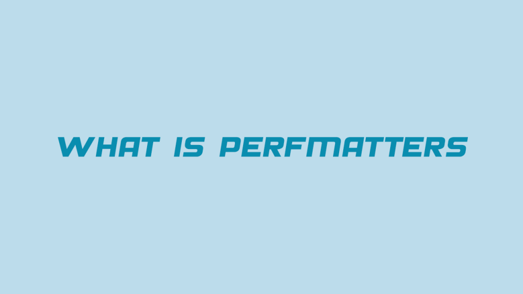 افزونه Perfmatters چیست و چه کاربردی دارد؟