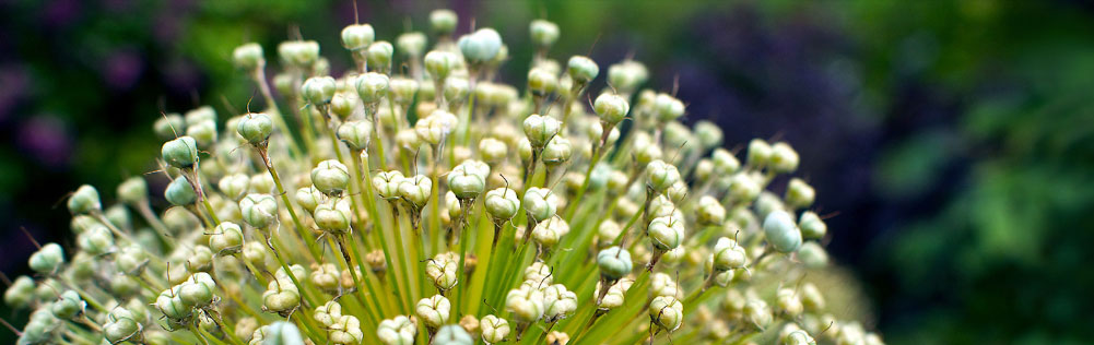 مدیریت ریدایرکت ها با افزونه Redirection