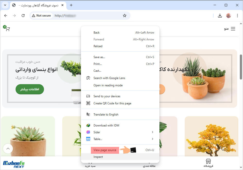 پیدا کردن فونت های گوگل در قالب سایت